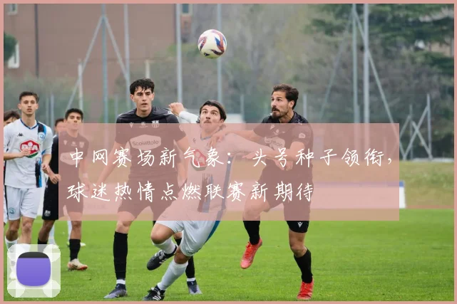 中网赛场新气象：头号种子领衔，球迷热情点燃联赛新期待
