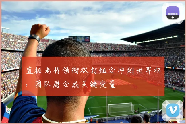 直板老将领衔双打组合冲刺世界杯，团队磨合成关键变量